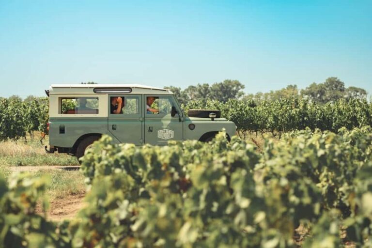 From Lyon: Burgundy Private Half Day Tour by Defender - Exploring the Burgundy Half-Day Tour: What to Expect