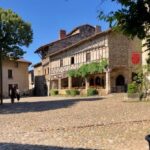 From Lyon: Medieval Town of Pérouges half day tour - Who Will Appreciate This Tour?