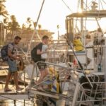 From Ma'alaea: Afternoon Whale Watch Tour Aboard the Malolo - The Experience Itself: What You’ll Actually See and Do