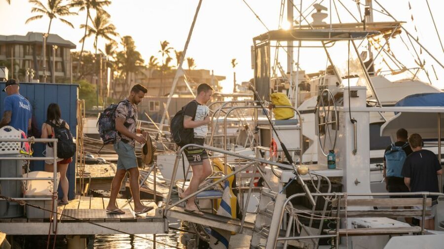 From Ma'alaea: Afternoon Whale Watch Tour Aboard the Malolo - The Experience Itself: What You’ll Actually See and Do