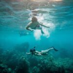 From Maalaea: Turtle Town 3-Hour Snorkel and Sail Adventure - Who Will Love This Tour?