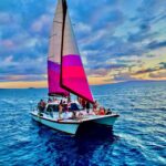 From Maalaea: Whale Watching Catamaran Cruise with Drinks - Who Is This Tour Best For?