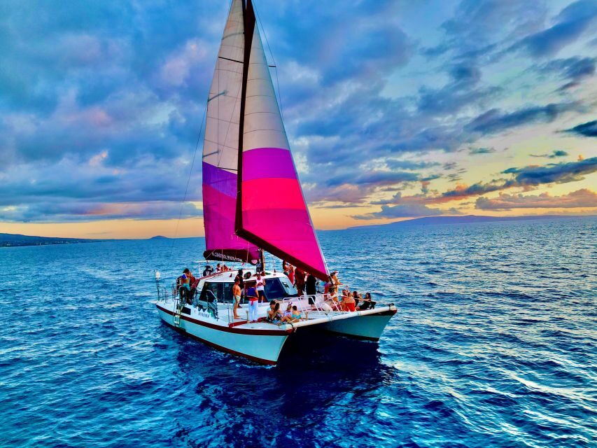 From Maalaea: Whale Watching Catamaran Cruise with Drinks - Who Is This Tour Best For?