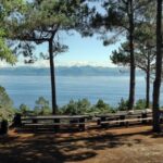 From Madalena: Pico Volcanoes and Lakes Guided Day Tour - Visiting Casa dos Vulcões