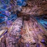From Malaga and Costa del Sol: Gibraltar Sightseeing Tour - Final Thoughts: Who Will Love This Tour?
