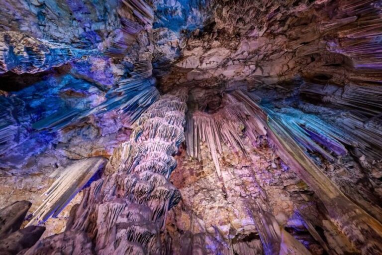 From Malaga and Costa del Sol: Gibraltar Sightseeing Tour - Final Thoughts: Who Will Love This Tour?