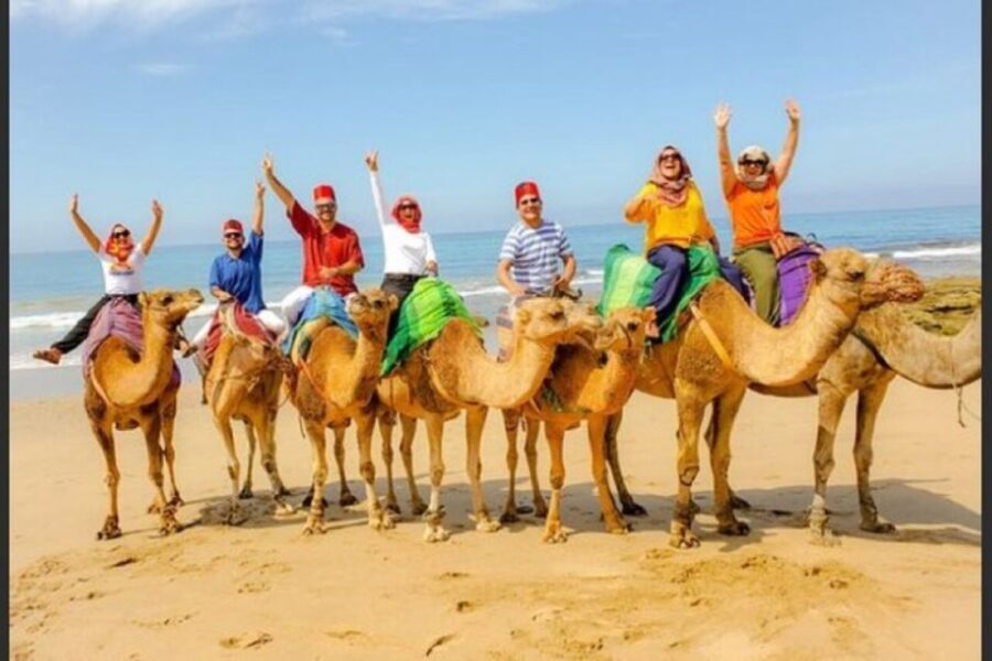 From Malaga: luxury private tour from Malaga to Tangier - Authenticity and Value