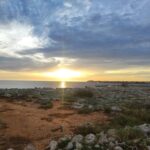 From Mallorca: Guided Day Trip to Menorca - Exploring the Menorca Day Trip in Detail