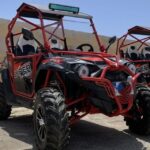 From Malta: Full-Day Gozo Buggy Tour with Lunch & Boat Ride - Who Should Take This Tour?