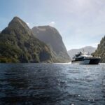 From Manapouri: Doubtful Sound Wilderness Day Trip - Exploring the Doubtful Sound Day Trip: What You Can Expect