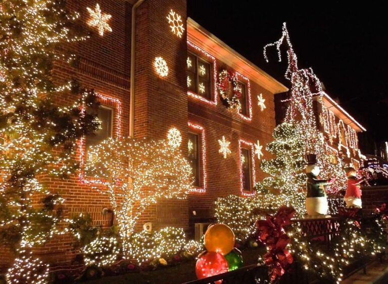 From Manhattan: 4-Hour Christmas Lights Luxury Bus Tour - Authentic Insights from Reviewers