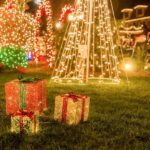From Manhattan: Dyker Heights Holiday Bus Tour - Who Should Consider This Tour?