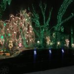 From Manhattan: Private Brooklyn Christmas Tour by Limousine - Transportation and Comfort