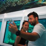 From Marmaris: Day Trip by Glass Bottom Semi Submarine - The Full Experience: What You Can Expect
