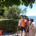 From Marseille: Bandol/Cassis Wine Tour with Viewpoint - Detailed Breakdown of the Itinerary