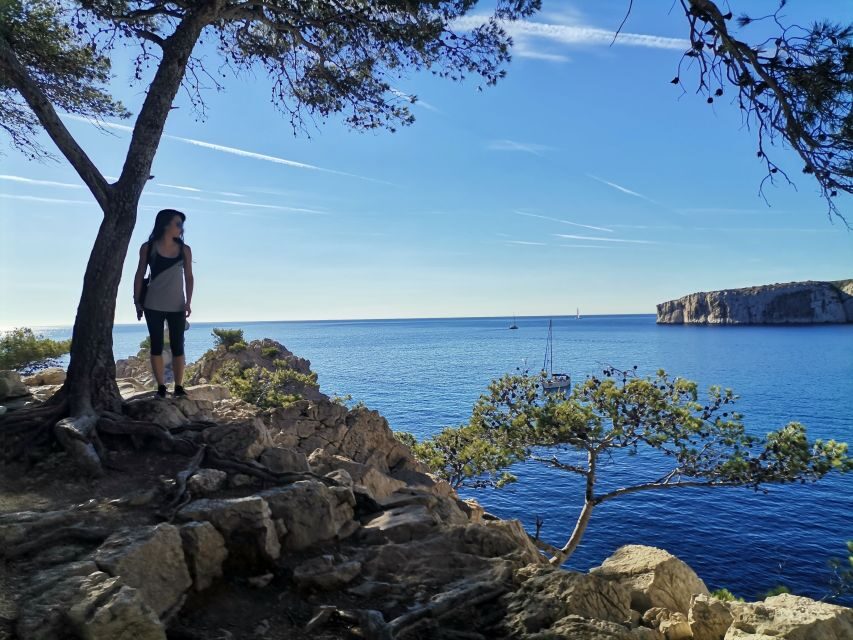 From Marseille: Calanques National Park Guided Hike - Why This Tour Offers Great Value