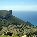 From Marseille: Cassis 4 hours - An In-Depth Look at the Cassis Day Tour