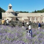 From Marseille: Customizable Private Day Tour of Provence - Exploring the South of France on Your Terms