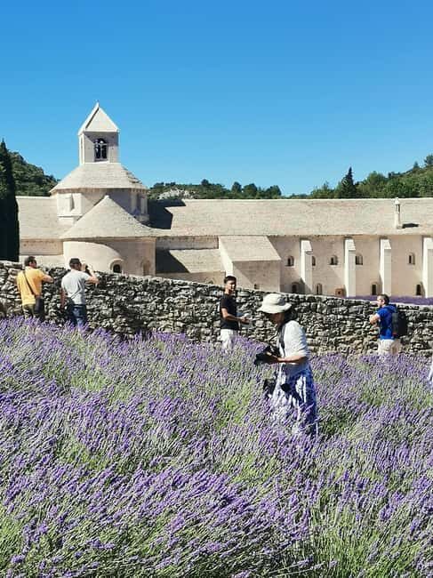 From Marseille: Customizable Private Day Tour of Provence - Exploring the South of France on Your Terms