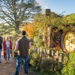 From Matamata: Guided Hobbiton Experience with Bus Transfers - The Experience in Detail