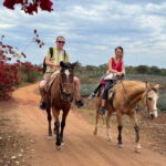 From Mazatlan: ATV & Horse Back riding with Tequila Tasting - Exploring the Experience: What Youll Do and Why It Matters