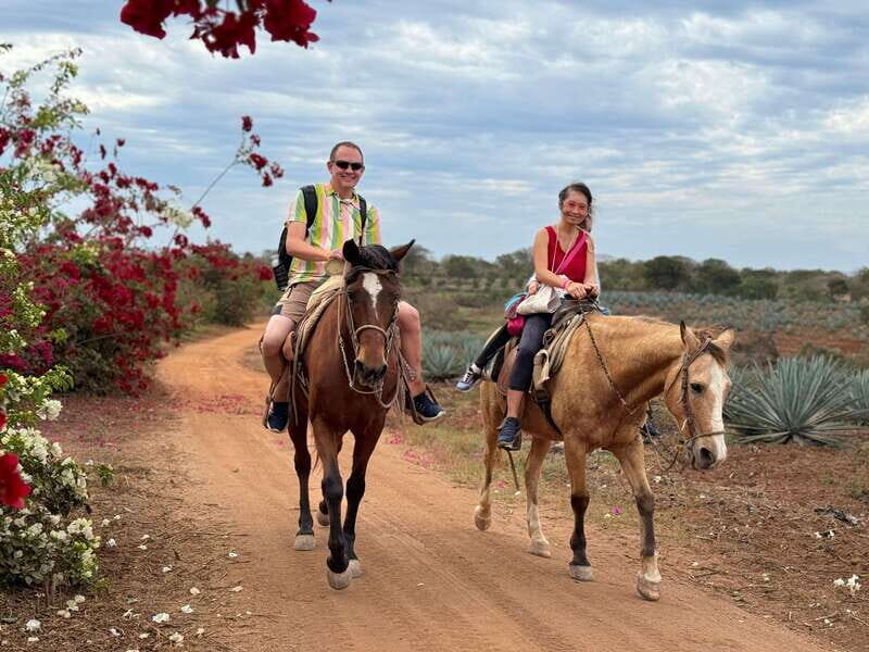 From Mazatlan: ATV & Horse Back riding with Tequila Tasting - Exploring the Experience: What Youll Do and Why It Matters