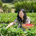From Melbourne: Bay Sightseeing and Ferry Ride with Lunch - A Detailed Look at the Melbourne Bay Sightseeing Tour