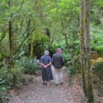 From Melbourne: Great Ocean Road Day Trip with Dinner - Exploring the Highlights of the Great Ocean Road