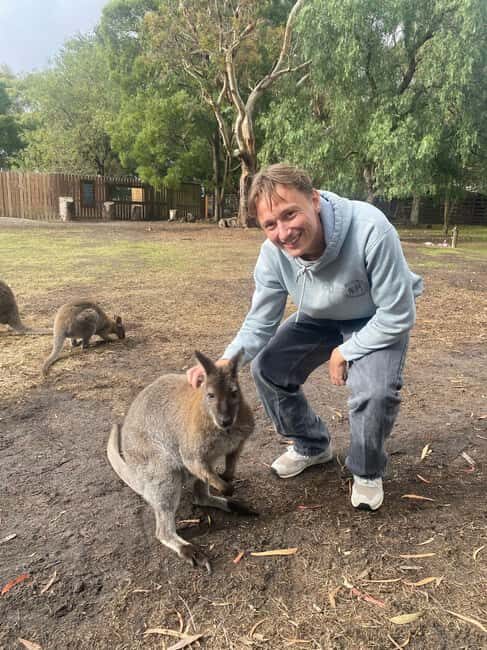 From Melbourne: Great Ocean Road, Dingos, Sparkling & Lunch - Why This Tour Offers Great Value