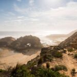 From Melbourne: Mornington Peninsula: Sightseeing Tour - A Deep Dive into the Mornington Peninsula Experience