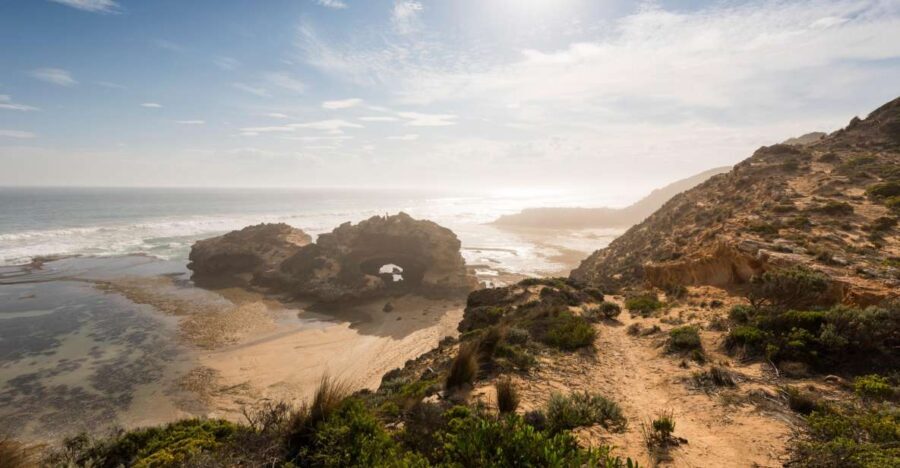 From Melbourne: Mornington Peninsula: Sightseeing Tour - A Deep Dive into the Mornington Peninsula Experience
