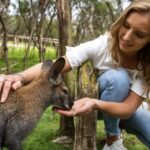From Melbourne: Penguins and Wildlife Nature Day Tour - Moonlit Sanctuary Wildlife Conservation Park