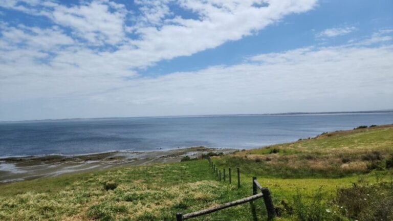 From Melbourne: Phillip Island Penguin Parade Private Tour - An In-depth Look at the Phillip Island Private Tour