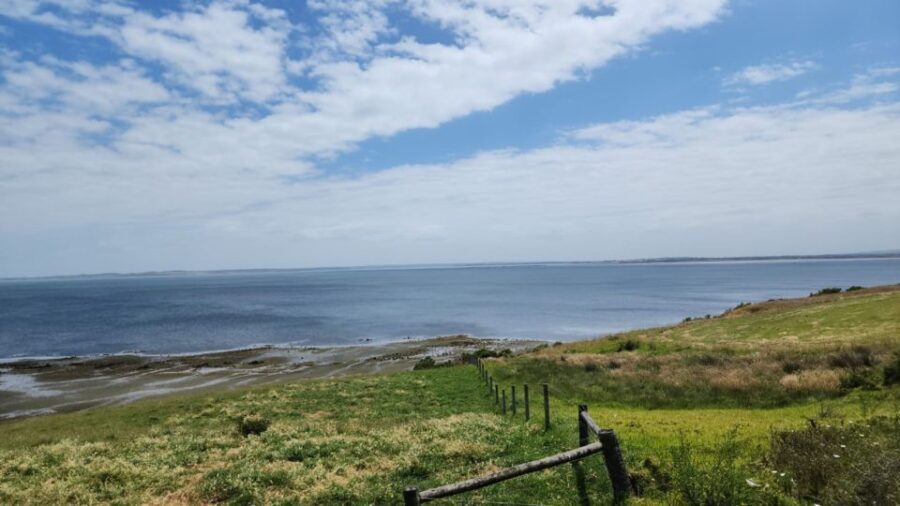 From Melbourne: Phillip Island Penguin Parade Private Tour - An In-depth Look at the Phillip Island Private Tour