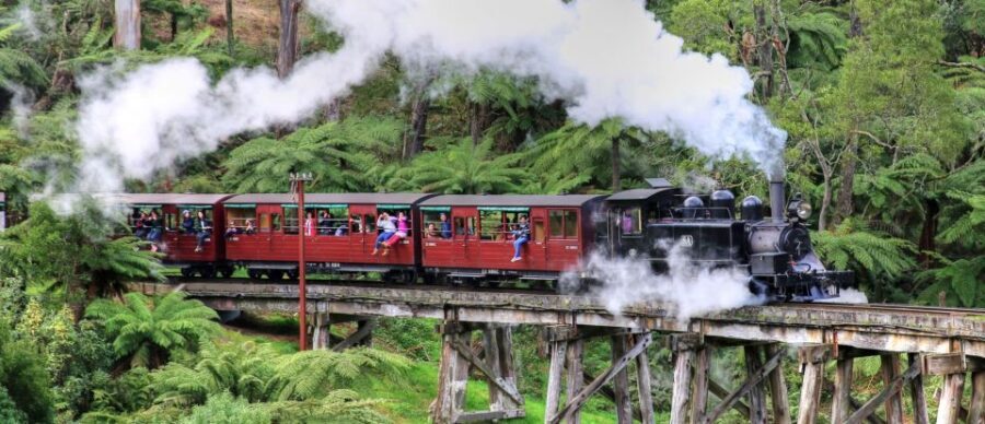 From Melbourne: Puffing Billy and Penguin Parade Combo Tour - An Honest Look at the Experience