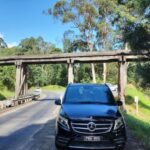 From Melbourne: Puffing Billy Private Tour - Up to 11 pax - Review Highlights & Authentic Perspectives