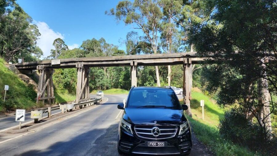 From Melbourne: Puffing Billy Private Tour - Up to 11 pax - Review Highlights & Authentic Perspectives