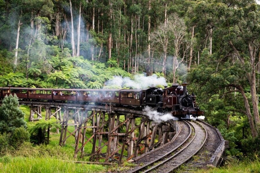 From Melbourne: Puffing Billy Steam Train & Wildlife Tour - What to Expect and Practical Details