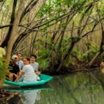 From Merida: Beach, Mangrove and something more - Why It’s a Good Value