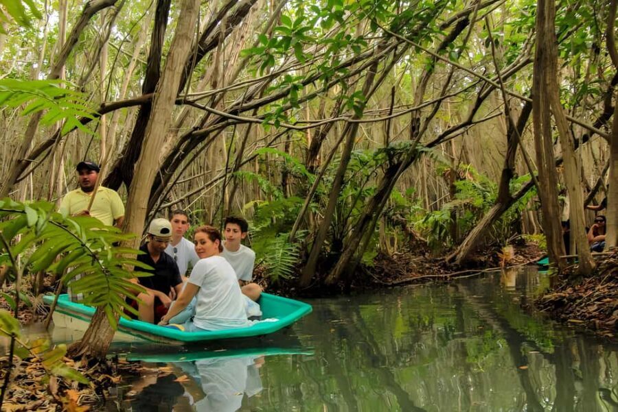 From Merida: Beach, Mangrove and something more - Why It’s a Good Value