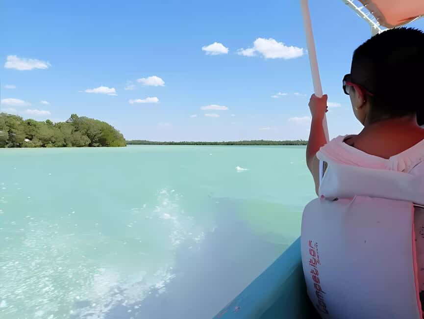 From Merida: Celestun, flamingos and beach - Why This Tour Works for Travelers