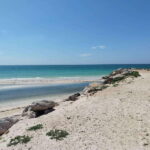 From Merida: Isla Columpios & Progreso - A Closer Look at the Tour Experience