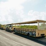 From Miami: Everglades Airboat Ride and Nature Walk - Authenticity and Guides
