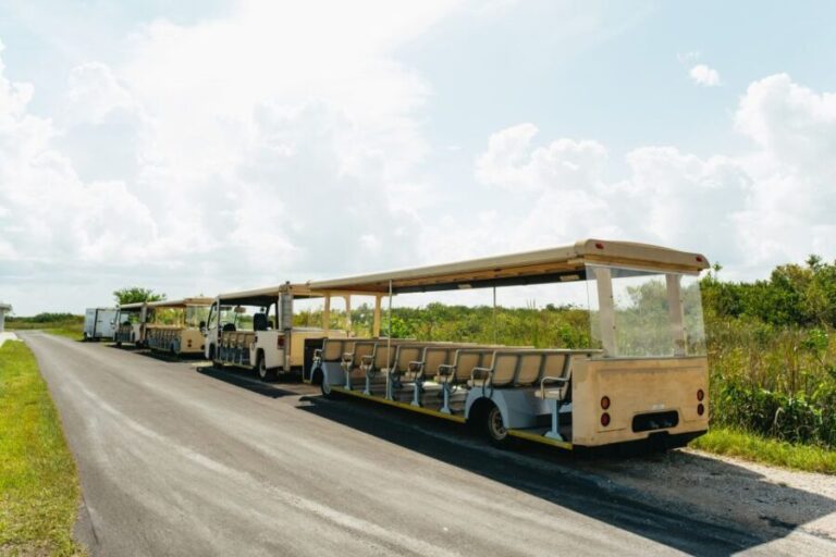 From Miami: Everglades Airboat Ride and Nature Walk - Authenticity and Guides