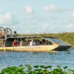 From Miami: Everglades Airboat, Wildlife Show & Bus Transfer - The Sum Up: Who Should Consider This Tour?