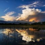 From Miami: Everglades at Night with Guided Airboat Tour - The Experience in Detail