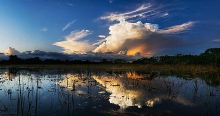 From Miami: Everglades at Night with Guided Airboat Tour - The Experience in Detail