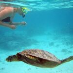 From Miami: Key West Day Trip - The Itinerary in Detail