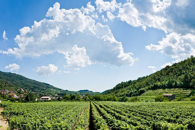 From Milan Full Day in Franciacorta 2 Wineries and Lunch - Practical Tips for Travelers