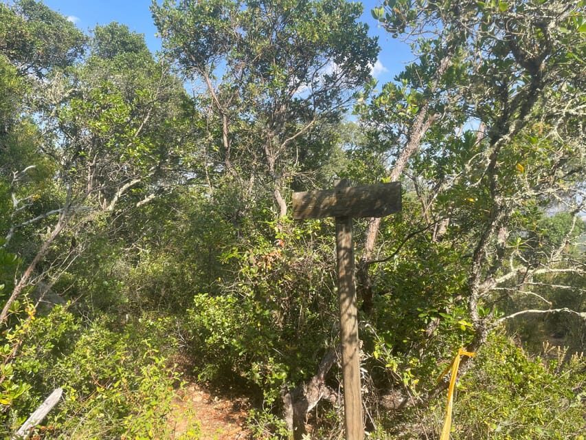 From Montemor or Évora: Guided Hike to Almendres Megalithic - An Honest, Detailed Review of the Guided Hike to Almendres Megalithic